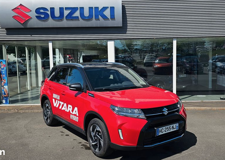 suzuki - Visuel 0