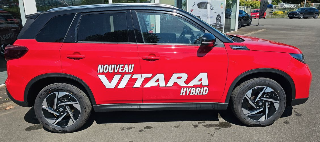 suzuki - Visuel 4
