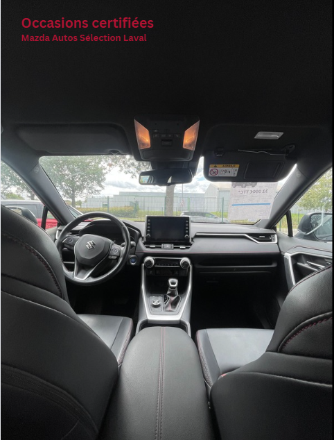 suzuki - Visuel 3